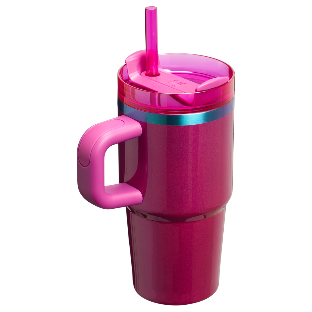 Stanley Quencher H2.0 FlowState™ Tumbler with Handle – 20 oz