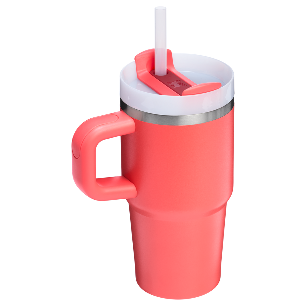 Stanley Quencher H2.0 FlowState™ Tumbler with Handle – 20 oz