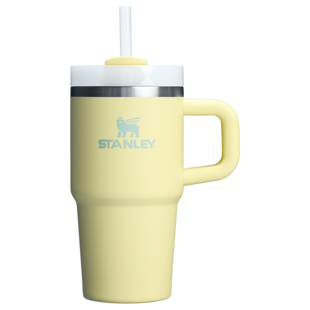 Stanley Quencher H2.0 FlowState™ Tumbler with Handle – 20 oz
